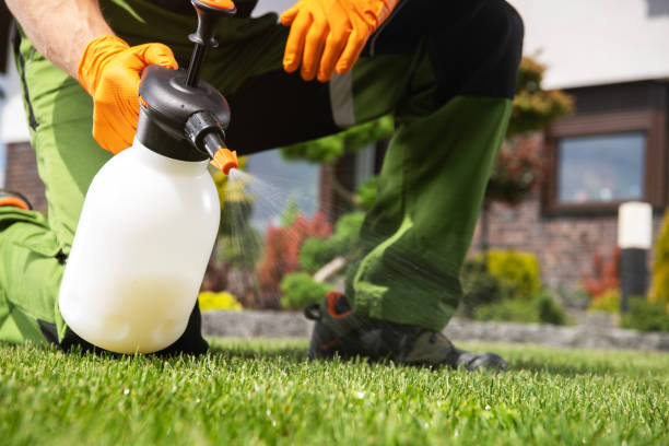 Best Termite Control Services  in Big Sky, MT