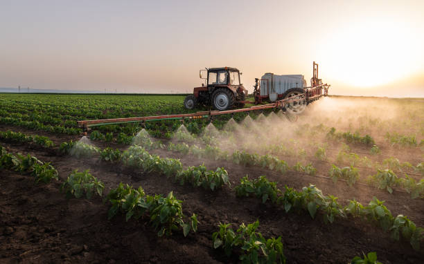 Best Mosquito Control Services  in Big Sky, MT