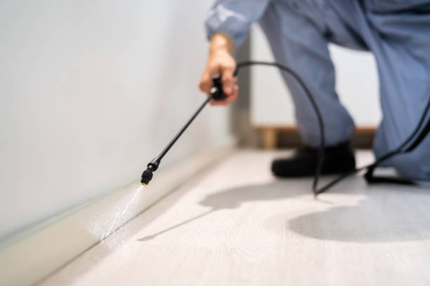 Best Flea Control Services  in Big Sky, MT